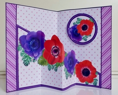 Diagonal pop-out Anemones by Pam Stubley