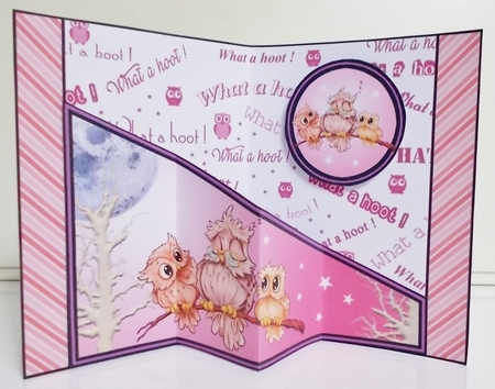 Diagonal pop-out Owls (pink) by Pam Stubley