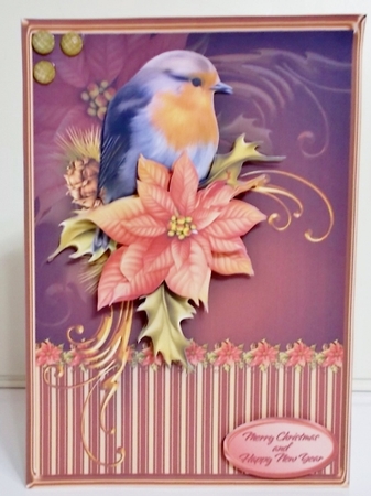 Little Robin - A4 Decoupage Card Mini Kit by Pam Stubley
