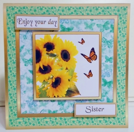 SC Sunflowers & butterflies by Pam Stubley