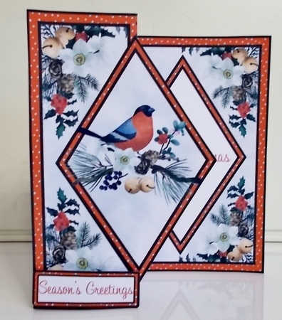Christmas Finch DFB 5 x 7 by Pam Stubley