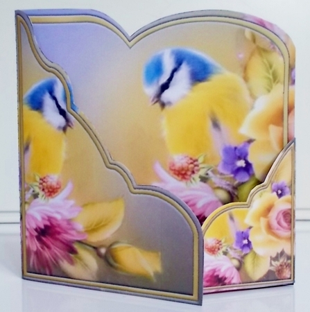 Wrap Around Gatefold Birds Mini Kit #2 by Pam Stubley