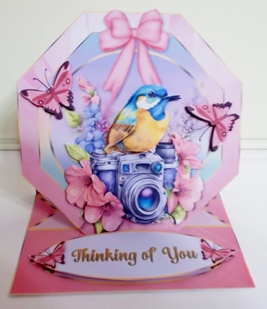 Pretty as a Picture - 3 - Multi Occasion  Easel Card by Pam Stubley