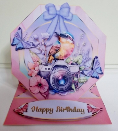 Pretty as a Picture - 4 - Multi Occasion  Easel Card by Pam Stubley