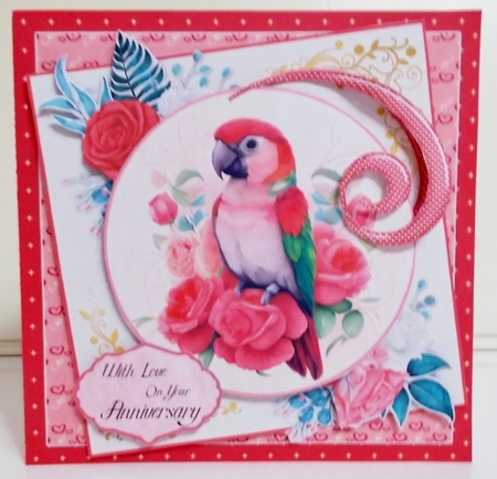 Squawk if You Love Me! 1  7.75x7.75 Simply Cards  by Pam Stubley
