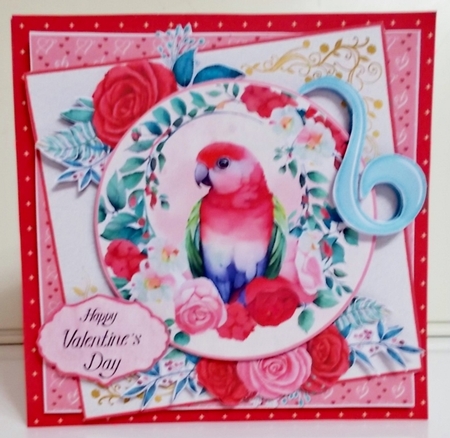 Squawk if You Love Me! 2  7.75x7.75 Simply Cards  by Pam Stubley