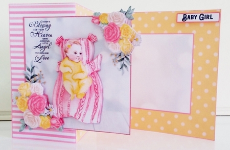New Baby Girl Fold back with Folio Option 2 by Pam Stubley