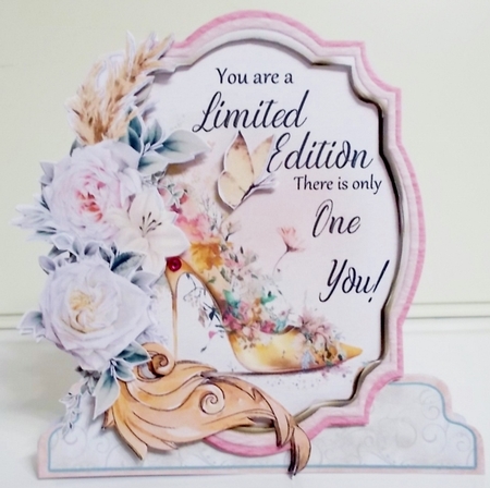 If the Shoe Fits 4 XL Shaped Card Kit by Pam Stubley