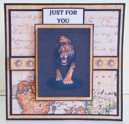 7 Inch Square Card Mini Kit -  Big Cat #2 - Tiger by Pam Stubley