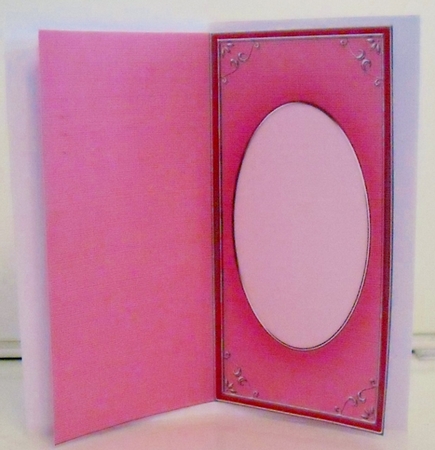 Dl 'silver Metallic Frame' Card Front or Insert by Pam Stubley