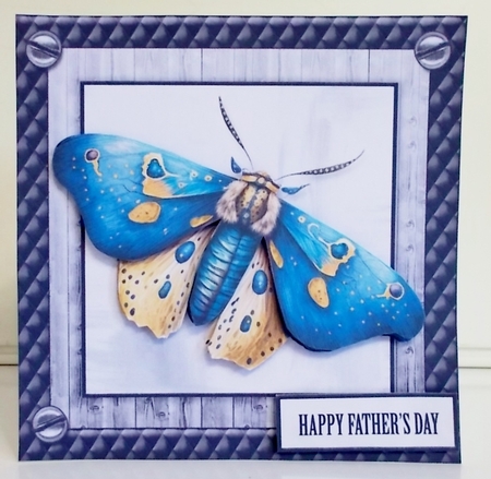 The Moth Mini Kit 2 by Pam Stubley