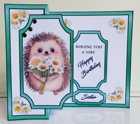 FB Cute little hedgehog by Pam Stubley