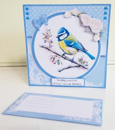 Cheeky Little Bluetit - Makes 6 Cards (7x7 inch square card kit) by Pam Stubley