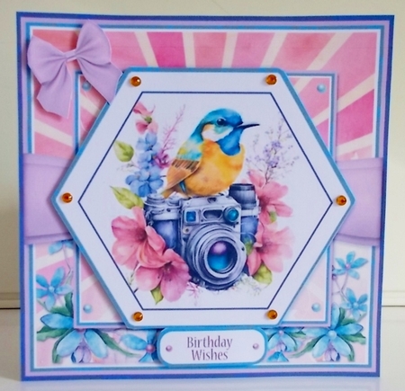 Picture Perfect Collection by Pam Stubley