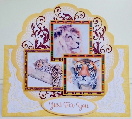 Big Cats All Occasions 7 x 7 Shaped Card by Pam Stubley