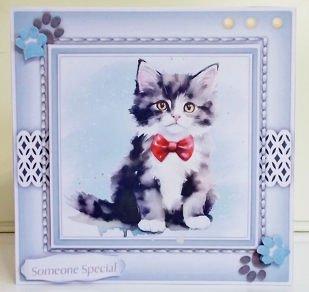 8x8 Mini Kit, Gorgeous Best Dressed Kitty by Pam Stubley