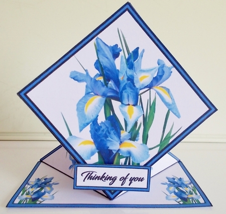 Spring top Blue Irises by Pam Stubley