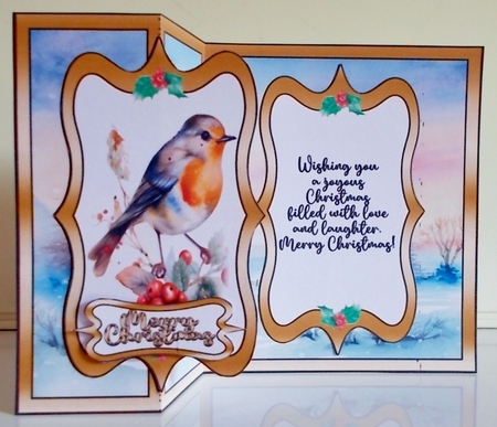 Christmas Robin Fancy Foldback Card by Pam Stubley