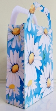 Daisies gift bag 1 by Pam Stubley
