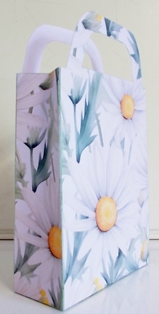 Daisies gift bag 5 by Pam Stubley