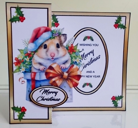 FB Shaped Hamster gift box (Gold) by Pam Stubley