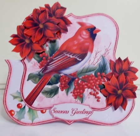 The Cardinal Over The Edge Mini Kit    by Pam Stubley