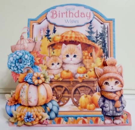 Colours of Autumn 5 XL Shaped Card Kit by Pam Stubley