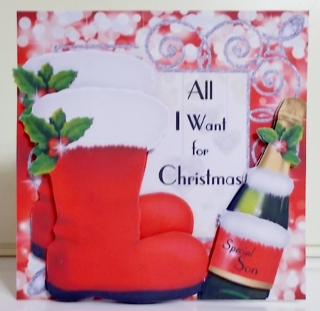 All I Want for Christmas - New BIG Boots & Bubbly by Pam Stubley