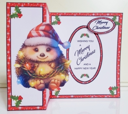 FB Shaped Festive hedgehog by Pam Stubley