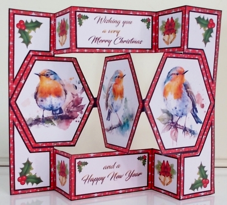 Hexagon trifold shutter Robins by Pam Stubley