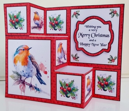 TSF Robins & holly by Pam Stubley