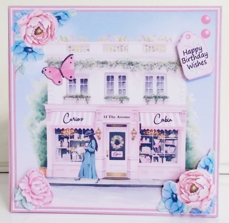 The Curios Shop by Pam Stubley