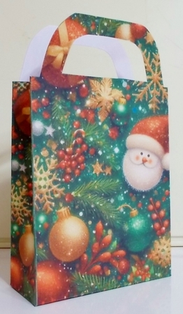 Green and red Christmas sparkle gift bag 9 by Pam Stubley