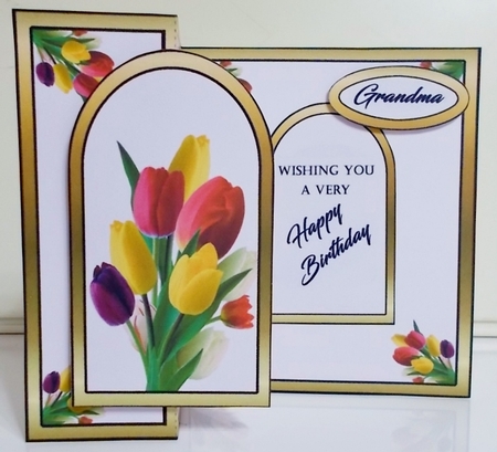 FB Bright tulips by Pam Stubley