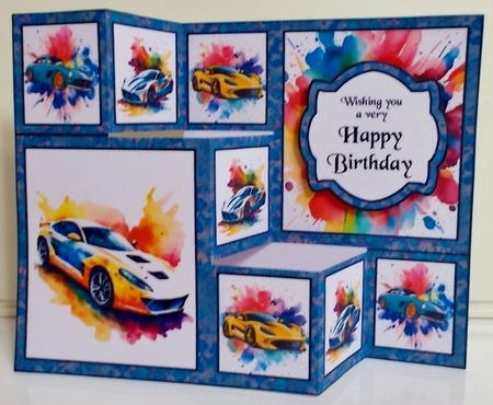 TSF Fast cars by Pam Stubley