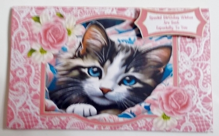 Kitty Love - Money Wallet by Pam Stubley