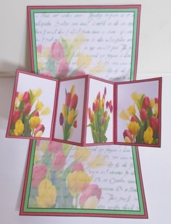 Twist & pop Beautiful tulips by Pam Stubley