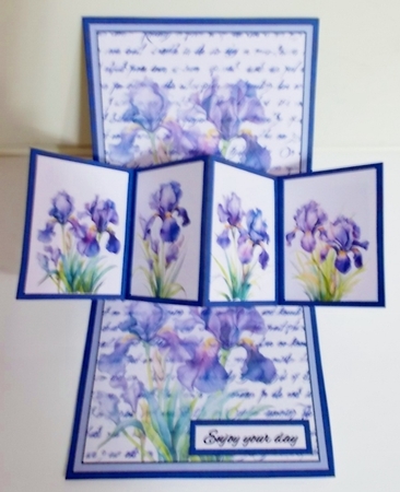 Twist & pop Pretty blue irises by Pam Stubley