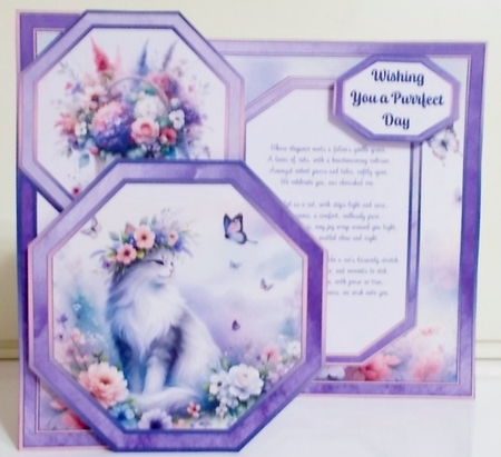 Elegant Cat Birthday Offset Octagon Card by Pam Stubley