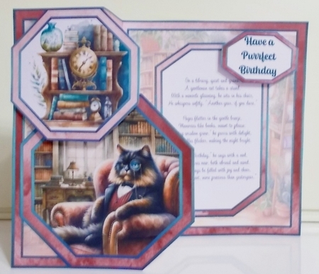 Mr Sophisticats Birthday Offset Octagon Card by Pam Stubley