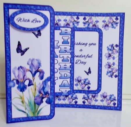 FB Pop-out Irises & butterflies by Pam Stubley