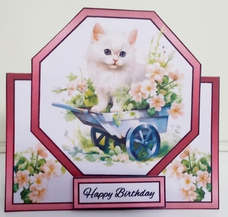 Octagon tent Kitten in a barrow by Pam Stubley