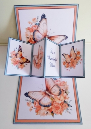 Butterflies with Peach Flowers Twist and Pop by Pam Stubley