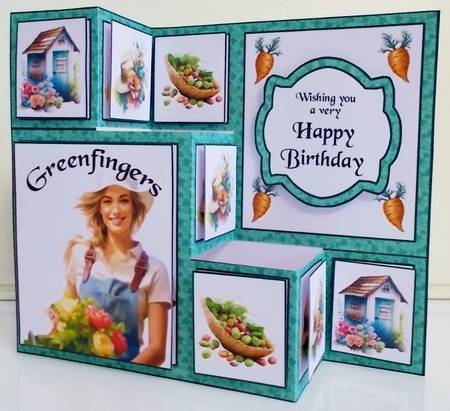 TSF Allotment lady by Pam Stubley