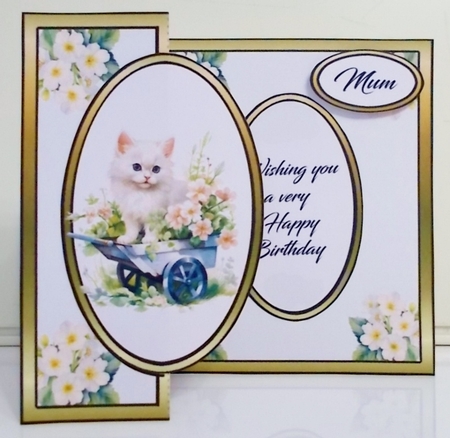 FBG Fluffy kitten with primroses by Pam Stubley