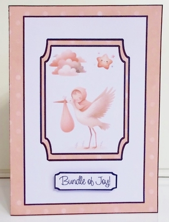 Stork Brings a Baby Double Concertina Card by Pam Stubley