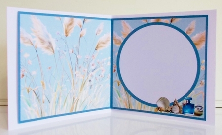 Pampas Insert by Pam Stubley
