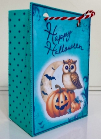 Moonlight Owl Mini Gift Bag by Pam Stubley