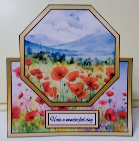 Octagon tent Poppy field by Pam Stubley