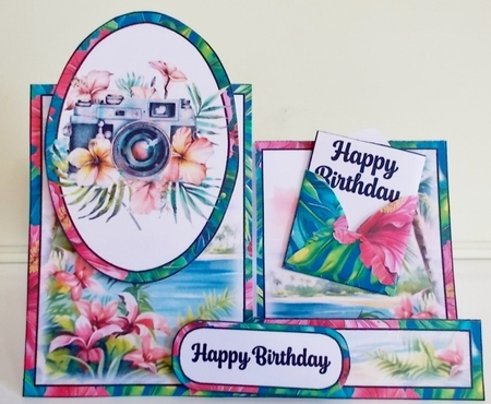 Tropical Beach Camera Side Stepper Card by Pam Stubley